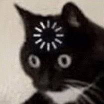Loading Cat